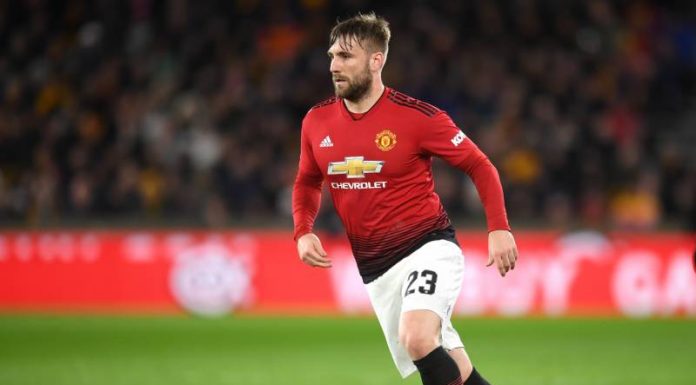 Image result for luke shaw